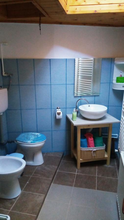 דירות סינאיה Casa Felix מראה חיצוני תמונה